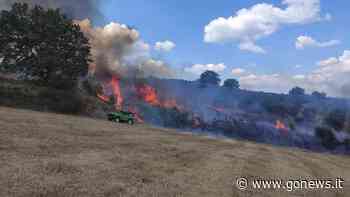 Incendio a Montaione, colpiti terreni a Cavasonno - gonews