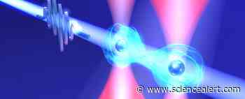 Record-Breaking Experiment Could Solve a Huge Challenge in Quantum Computing - ScienceAlert