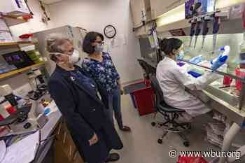 To solve the mystery of long COVID, researchers look to an older disease - WBUR News