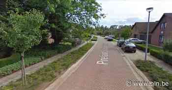 Onderhoudswerken aan voetpaden en groenstroken in Trienenkant gaan laatste fase in - Het Laatste Nieuws