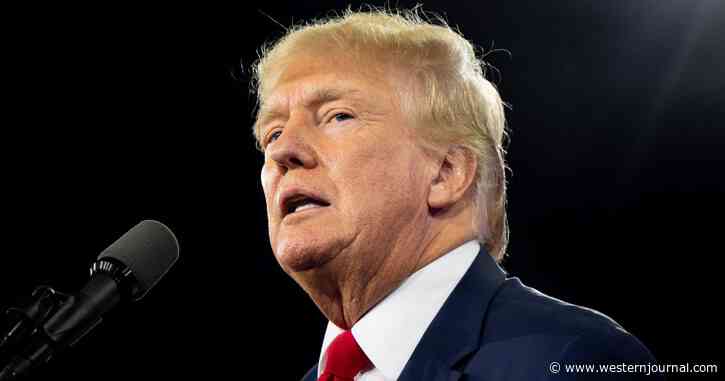 The Courts Are Coming for Trump: Day After Mar-a-Lago Raid, Federal Judges Make Move