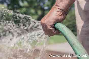 Hosepipe ban ruled out for Wirral despite heatwave forecasts - Wirral Globe