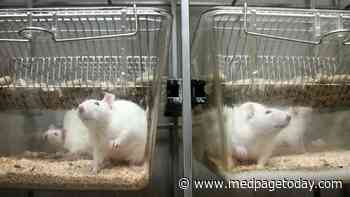 False Claims About COVID Vax Animal Testing Resurface