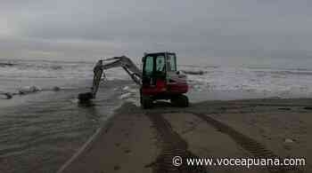 Idrovora di Poveromo, Barotti: «Il Comune di Massa deve incidere di più» - La Voce Apuana