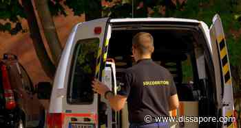 Monza, intossicazione alimentare per 17 boy scout belgi: avevano cenato in un ristorante di pesce - dissapore