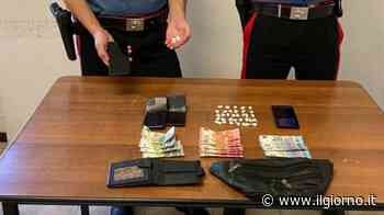 Monza, pusher scappa con la cocaina in bocca: incidente in auto - IL GIORNO