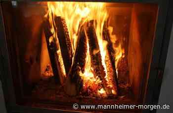 Teures Brennholz: Riesige Nachfrage, reduziertes Angebot - Heidelberg - Nachrichten und Informationen - Mannheimer Morgen