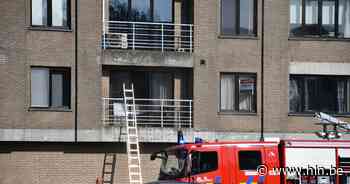 Kokende vrouw veroorzaakt brand: keuken licht beschadigd | Boom | hln.be - Het Laatste Nieuws