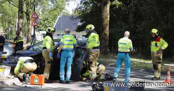 Automobiliste gewond bij botsing tegen boom in Cuijk - De Gelderlander