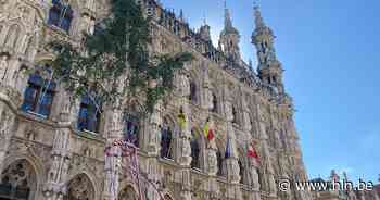 De enige echte Meyboom staat…op de Grote Markt in Leuven: “De Brusselaars zijn er weer eens aan voor de moeite” - Het Laatste Nieuws