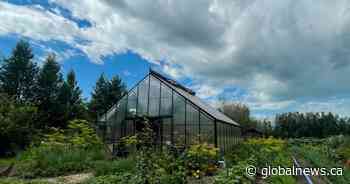 More than 100 farms preparing for kickoff of Alberta Open Farm Days