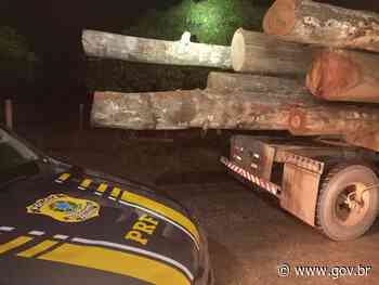 PRF apreende 35 m³ de madeira sendo transportados ilegalmente, em Paragominas/PA - GOV.BR