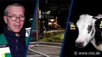 Video: Tiere aus Stall gerettet: Landwirt bei Feuer in Bramsche leicht verletzt - NOZ