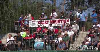 Little league fever takes over Stanley Park in Calgary
