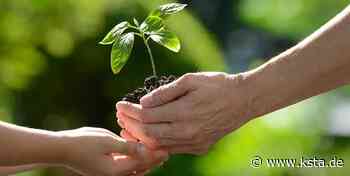 Klima vor Wirtschaft: Mehrheit der Befragten einer Studie finden Umwelt wichtiger - Kölner Stadt-Anzeiger