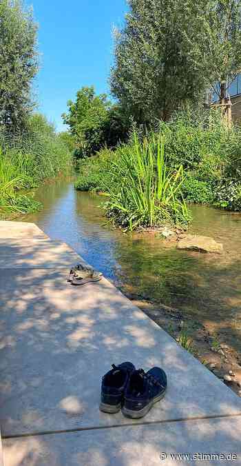 Am Wasser lebt's sich gut, auch auf der Gartenschau Eppingen - Heilbronner Stimme