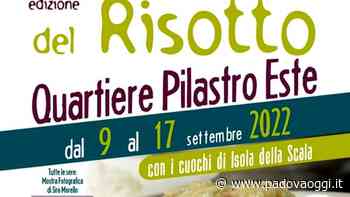 Sagra del risotto a Este - PadovaOggi
