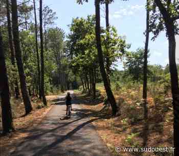 Vélodyssée : entre Capbreton et Soustons, le plaisir de se perdre dans la forêt landaise - Sud Ouest
