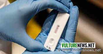 Coronavirus Basilicata, ultimissimo aggiornamento: 146 nuovi positivi di cui 4 a Melfi, 4 a Venosa, 3 a Lavello e 1 a Rionero. Ecco i dati comune per comune - vulturenews.net