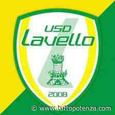 Non ci sarà nessuna fusione tra il Lavello ed il Melfi... in Serie D i giallo-verdi potrebbero (ri)partire da mister Zeman - Tutto Potenza