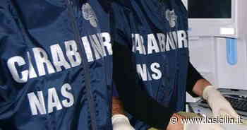 Agrigento, sequestrati 27 chilogrammi di pesce in uno stabilimento balneare - La Sicilia