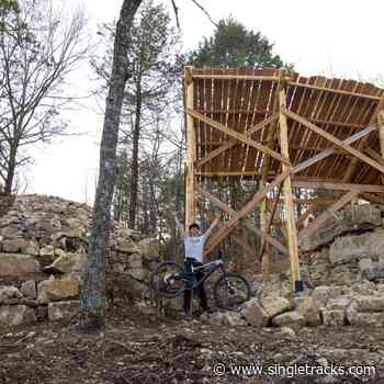 This MTB Trail Builder Creates Jaw Dropping Wooden Features Using Natural Materials - Singletracks.com