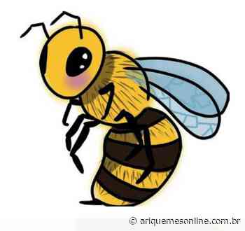 UNIR e UFSCar Pesquisadores publicam manual sobre vida das abelhas - Ariquemes Online