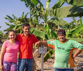 Sustentabilidade: Agricultor colhe os frutos do seu reflorestamento em Sistema Agroflorestal - Ariquemes Online