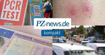 PZ-news kompakt: Gesundheitsamt erklärt hohe Corona-Zahlen in Pforzheim und der Region - Region - Pforzheimer Zeitung