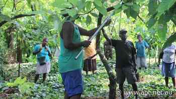 Australian chocolatiers seek out a sweeter deal for farmers
