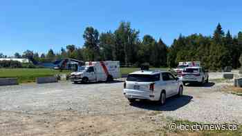 Langley news: Child falls from window, air ambulance called | CTV News - CTV News Vancouver
