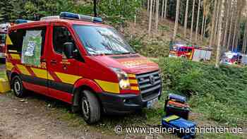Kreis Peine: Holzbank am Feldweg fängt Feuer durch Zigarette - Peiner Nachrichten