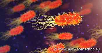 Meer infecties met 'superbacteriën' tijdens coronapandemie - Eos Wetenschap
