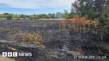 Firefighters tackle large grassland blaze in Northampton
