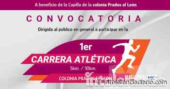 Atlixco: invita Ariadna Ayala a participar en Primera Carrera Atlética - Intolerancia Diario