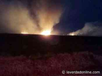Incendios forestales: informan sobre dos focos en la provincia de Buenos Aires - Diario La Verdad Junín