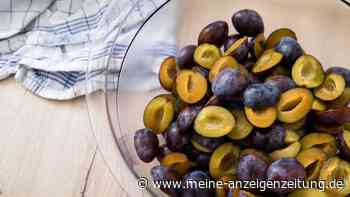 Alles Pflaume oder was? Die Vielfalt der blauen Früchtchen
