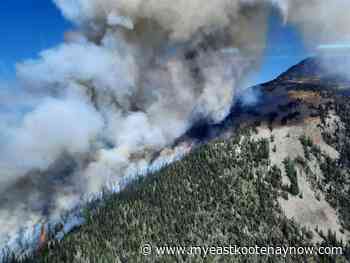 New wildfire spotted southeast of Kimberley - My East Kootenay Now