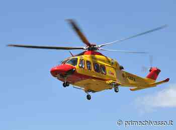 Punto da un insetto, grave in ospedale - Prima Chivasso