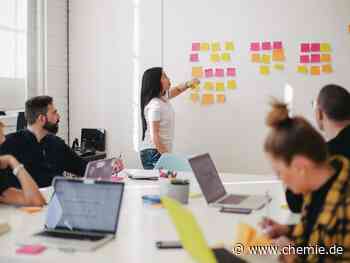 Startups bleiben zuversichtlich