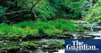 Rivers brought me heart-shattering loss - then gave me a home - The Guardian