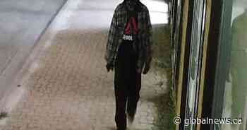 Dauphin RCMP looking for firebug linked to string of arsons - Global News