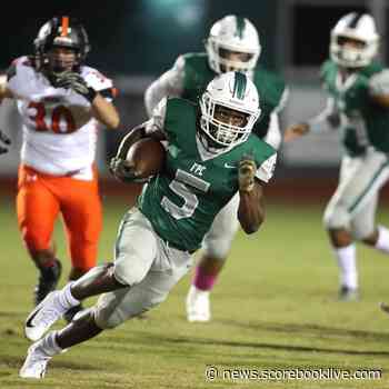 Robert Paxia leads alma mater Flagler Palm Coast into 2022 season - Scorebook Live