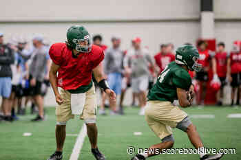 Alma looking for continuity under Rusty Bush - Scorebook Live