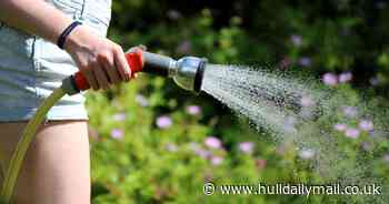 Yorkshire Water issues statement on hosepipe ban - Hull Live