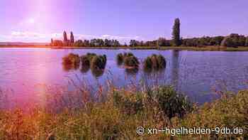 Ausweisung der Saalbachniederung westlich von Bruchsal als Naturschutzgebiet - Hügelhelden.de