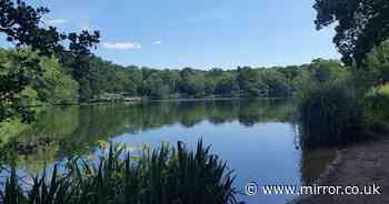 Epping Forest dog walkers warned as several pooches die from drinking 'toxic' lake water - The Mirror