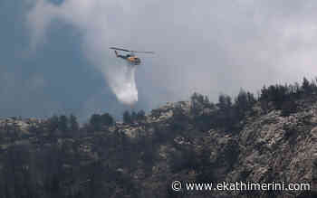 65 forest fires reported in 24 hours - Kathimerini English Edition