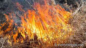 Grande Prairie Forest Area wildfire danger now high - EverythingGP