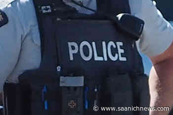 Suspect throws brick at pregnant woman’s stomach in downtown Nanaimo - Saanich News